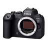 佳能（Canon）EOS R6 Mark II全畫幅微單相機(jī)R62專業(yè)微單 r6二代4K高清旅游Vlog數(shù)碼相機(jī) EOS R6II 單機(jī) 官方標(biāo)配【出廠配置 建議購(gòu)買套餐】 曬單實(shí)拍圖