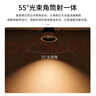 雷士（NVC）LED筒燈家用客廳天花嵌入式防眩黑杯7瓦智能無極調(diào)光【榆華】Ra95 曬單實拍圖