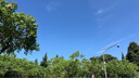 BUV葉綠素氨基酸洗面奶男女深層清潔收縮毛孔去黑頭細(xì)嫩潔面3支裝 曬單實(shí)拍圖