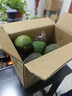 山姆大叔 金獎·哈斯牛油果云南孟連【閃送】當季鱷梨非即食新鮮水果禮盒 【鼻祖級】巨無(wú)霸丨約160-190g 10枚【全家分享-蕞劃算】普裝 曬單實(shí)拍圖