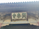 正宗海南澄邁橋頭地瓜小香薯富硒板栗紅薯蔬菜不套袋不塑形代餐 丑果【爆甜超值】含箱9斤 單果克重100～400g（超劃算） 曬單實(shí)拍圖