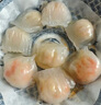 廣州酒家利口福 蝦餃480g 24只裝 早餐半成品 廣式早茶點(diǎn)心 生鮮食品速食美食 曬單實(shí)拍圖