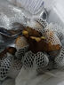 新鮮黑牛肝菌【順豐包郵】云南特產(chǎn)見(jiàn)手青菌子 肉厚鮮嫩 火鍋食材 2kg 曬單實(shí)拍圖