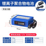 德力普（Delipow）12v鋰電池帶電量顯示大容量戶(hù)外露營(yíng)頭燈庭院太陽(yáng)能路燈監控設備電源蓄電池24V聚合物鋰電池組 12V3000mAh【帶電量顯示+送1A充電器】 送DIY轉接頭一對 曬單實(shí)拍圖