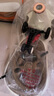 看寶貝（lookbaby）兒童扭扭車1-3歲溜溜車搖搖車寶寶扭扭車嬰兒扭扭車 絲霧棕|音樂燈光+閃光輪 曬單實拍圖