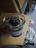多肉植物仙人掌盆栽室內(nèi)肉肉仙人球小盆栽開花可愛桌面綠植 冰燈玉露+玻璃盆+黃金砂+營(yíng)養(yǎng)土 含盆 曬單實(shí)拍圖