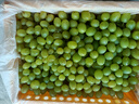 曠古農業(yè)新疆無(wú)核白葡萄無(wú)籽新鮮馬奶提子水果整箱 4.5斤 曬單實(shí)拍圖