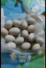 靜益樂(lè )源黃心獼猴桃 奇異果金果 新鮮水果 30枚裝單果50-70g 曬單實(shí)拍圖