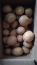 京鮮生恩施小土豆5斤 單果約20-60g 新鮮黃心土豆馬鈴薯源頭直發(fā) 曬單實(shí)拍圖