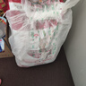 皇家狗糧 成犬狗糧 犬糧 寵物 中型犬 M25 全價犬糧 12月 15KG 曬單實拍圖