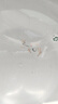 卡奇魚 斑馬魚 淡水魚 觀賞魚 小型觀賞魚 熱帶魚 蝶翼斑馬熒光好養(yǎng)易活 糖果斑馬10條1.5-2.5cm最少3種色 曬單實(shí)拍圖