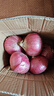 京鮮生 河南紫紅皮洋蔥凈重5斤單果200g+ 現(xiàn)挖新鮮蔬菜 源頭直發(fā)包郵 曬單實(shí)拍圖