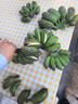 靜益樂源廣西小米蕉 粉蕉 新鮮香蕉水果 凈重9斤裝 曬單實(shí)拍圖