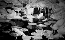 天窗紅外夜視儀夜間專(zhuān)用望遠鏡單筒高清高倍軍事夜視鏡全黑非熱成像儀 曬單實(shí)拍圖
