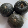 京鮮匠山東正宗真貝貝南瓜 栗香小南瓜 粉糯香甜老瓜蔬菜 產(chǎn)地直發(fā) 精品果 凈重 5斤 曬單實(shí)拍圖