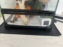 哈駱頓（HALODN）爬寵加熱墊烏龜智能控溫器保溫墊蜥蜴守宮角蛙蛇飼養箱恒溫加熱板 爬寵溫控加熱墊12*18cm（5w） 【恒溫速熱，防水防潮，石墨烯升級款】 曬單實(shí)拍圖