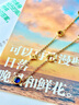 伊燦四葉草彩色鋯石項鏈女2025新款爆款鎖骨鏈輕奢小眾高級感頸鏈配飾 四葉草彩色鋯石項鏈 曬單實(shí)拍圖