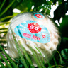 佳農 泰國進(jìn)口椰青 2粒單果900g+ 贈開(kāi)椰器吸管 中秋送禮水果源頭直發(fā) 曬單實(shí)拍圖