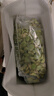 蘇北速凍大粒蠶豆米胡豆羅漢豆順豐冷鏈發(fā)貨 5斤 曬單實(shí)拍圖