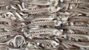 海鼎紀鮮切魷魚(yú)須900g 海鮮 燒烤火鍋 鐵板魷魚(yú) 300g/包*3包 中秋 曬單實(shí)拍圖