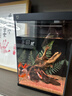 畫(huà)法幾何魚(yú)缸造景小型魚(yú)缸米家智能桌面魚(yú)缸專(zhuān)用沉木造景套餐 魚(yú)缸裝飾 蕨類(lèi)沉木造景+底砂套餐 曬單實(shí)拍圖