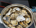 生蠔山東大生蠔鮮活牡蠣肉質(zhì)肥美凈重5斤原產(chǎn)地直發(fā)到家 5斤3XL【約15-19個(gè)】萬(wàn)能版 曬單實(shí)拍圖