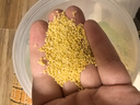 十月稻田 敖漢小米2.5kg 金苗K1 內(nèi)蒙古赤峰 粥米新米 優(yōu)級黃小米 雜糧5斤 曬單實拍圖