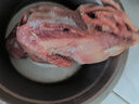 溫氏供港乳鴿凈重900g/3只 冷凍鴿子 散養(yǎng)土鴿子肉 燒烤鹵煮食材 煲湯 曬單實(shí)拍圖