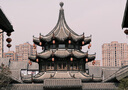 松下（Panasonic）數(shù)碼相機(jī) 二手?jǐn)?shù)碼相機(jī) 便攜相機(jī) LX10 LX100M2 ZS110  【二手99新】LX10 1英寸大底 曬單實(shí)拍圖
