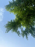 宏碁（acer）無(wú)線(xiàn)鍵盤(pán)鼠標套裝 商務(wù)專(zhuān)用辦公打字家用 防潑濺輕音輕薄便攜耐用外設鍵鼠 筆記本電腦臺式機通用 【性?xún)r(jià)比】無(wú)線(xiàn)套裝 曬單實(shí)拍圖