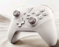 飛智沙漠狐 多模版無(wú)線(xiàn)游戲手柄 類(lèi)xbox霍爾扳機switch電腦PC手機steamNS雙影奇境 曬單實(shí)拍圖