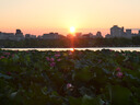 松下（Panasonic）Lumix G100D M43畫幅相機 M43卡口 微單相機 無反數(shù)碼相機 G100D+【12-60mm白盒】單鏡套裝 曬單實拍圖