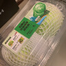五峰山漢堡玻璃球生菜800g 曬單實(shí)拍圖