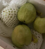 京鮮生 軟糯奶油白心芭樂 凈重2.5斤裝單果150g+ 番石榴 中秋禮品 曬單實(shí)拍圖