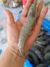 百鮮洽超大蝦新鮮大蝦冷凍鮮活青島大蝦批發(fā)整箱基圍蝦青蝦 【特大蝦王17-21cm】 3斤(凈重) 曬單實(shí)拍圖