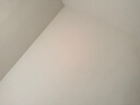 巴斯夫蟑螂藥噴劑全窩滅蟑螂呋蟲胺跳蚤臭蟲螞蟻進(jìn)口殺蟲劑速克力20g 曬單實(shí)拍圖