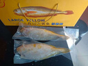 昌鮮園舟山生態(tài)大黃魚(yú)禮盒深海黃花魚(yú)鮮活冷凍生鮮海鮮年貨禮包水產(chǎn)商用 6條禮盒裝（每條約1斤） 曬單實(shí)拍圖
