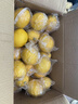 譯優(yōu)農四川安岳黃檸檬新鮮水果當季精選一級皮薄鮮檸檬榨汁泡茶獨立包裝 5斤精選中果【約18-21個(gè)】彩袋裝 曬單實(shí)拍圖