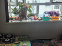 貝得力（BEIDELI）防撞條寶寶嬰幼兒防磕碰防護(hù)條免貼膠加寬加厚米色L型4米 曬單實拍圖