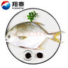 翔泰海南深海金鯧魚(yú)700g 2條 燒烤 火鍋 生鮮魚(yú)類(lèi) BAP認證 海鮮水產(chǎn) 曬單實(shí)拍圖