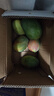 京鮮生 攀枝花凱特芒果 凈重8.5斤 帶箱9斤 單果400g+ 生鮮水果源頭直發(fā) 曬單實(shí)拍圖