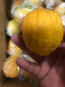 無(wú)籽香水檸檬新鮮水果檸檬無(wú)籽小青檸香水檸檬茶飲店專(zhuān)用 獨立包裝單果60-160g 9斤 曬單實(shí)拍圖