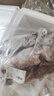 東上御品 單凍大魷魚3斤 約3-5條魷魚 燒烤海鮮食材-源頭直發(fā) 鮮凍大魷魚 3斤(凈重) 曬單實拍圖