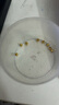 喜上眉梢足金999轉運珠3D硬金拋光面珠磨砂路路通DIY配飾散珠送禮女 4mm光珠【約0.8g】多顆重版 曬單實(shí)拍圖