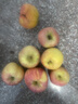 龍多鮮冰糖心蘋(píng)果富士蘋(píng)果新鮮水果當季整箱現摘丑蘋(píng)果 整箱5斤精選 約10-16枚 凈4.5斤 曬單實(shí)拍圖