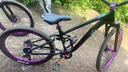 鳳凰軟尾成人男女山地自行車(chē)雙減震變速土坡車(chē)青少年炸街越野變速單車(chē) 炫紫黑 8速 【機械碟剎】 26英寸 曬單實(shí)拍圖