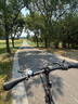 大行（DAHON）折疊自行車(chē)20英寸8級變速經(jīng)典P8單車(chē)KBC083 黑色經(jīng)典版-京倉 曬單實(shí)拍圖