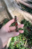 伊夢嬌老綠檀木手串紅瑪瑙黑曜石黃水晶手鏈木質(zhì)男女蛇年本命年禮物 補(bǔ)火【15mm秒沉水】 曬單實(shí)拍圖