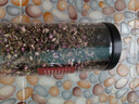 桃花茶 中藥材 桃花瓣花苞特選桃花干手工挑選無(wú)硫熏花茶 桃花100g 曬單實(shí)拍圖