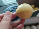 廣西欽蜜9號(hào)黃金百香果萬澄當(dāng)季新鮮大果黃皮果奶茶店水果 【1斤 約11-17個(gè)】單果30-45g 曬單實(shí)拍圖